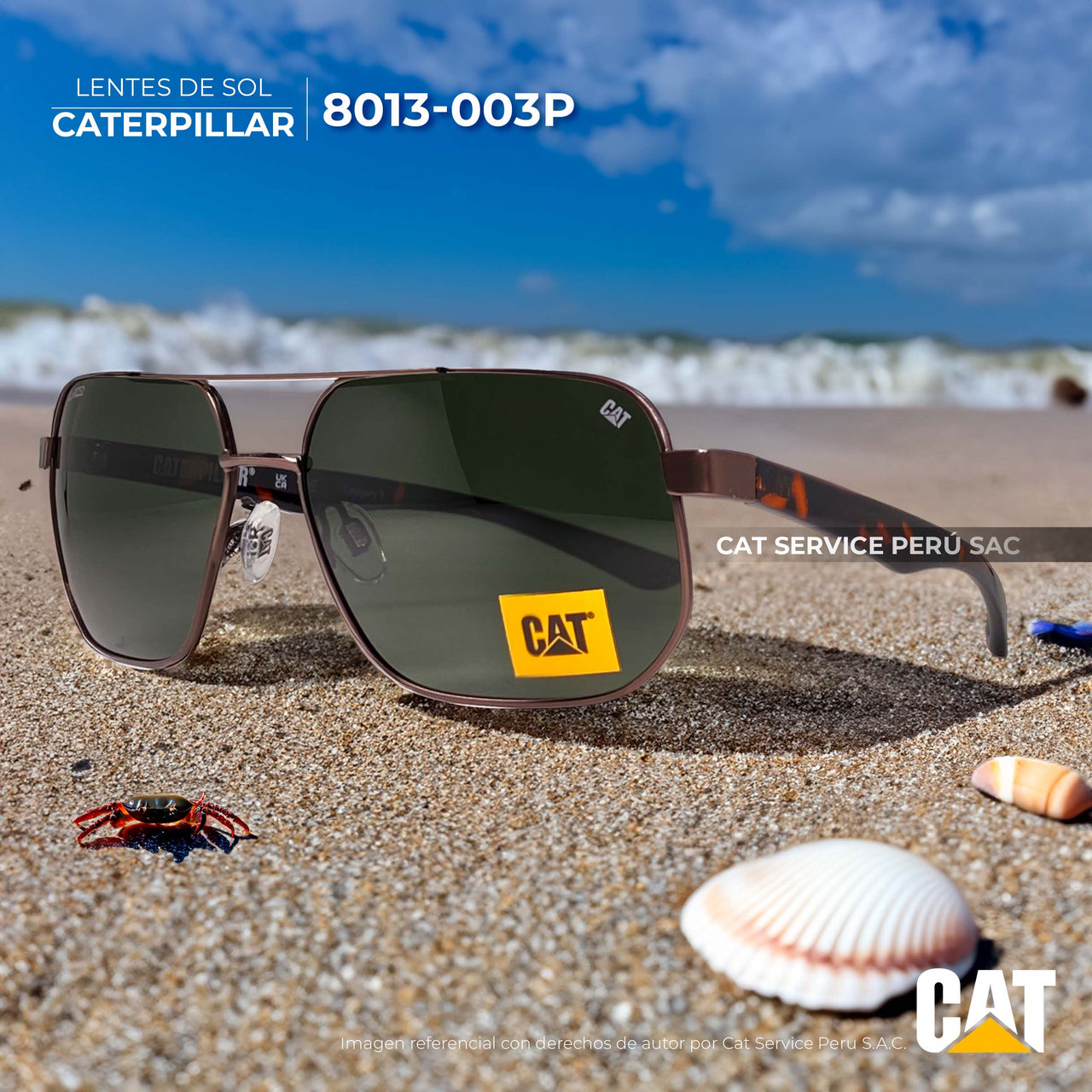 कैट सीटीएस-8013-003पी मून्स सॉलिड हरा धूप का चश्मा 