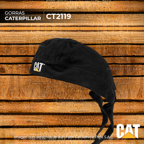 CT2119 Cat Skull Cap