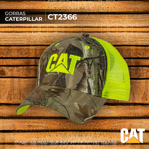 CT2366 Cat I See You Cap