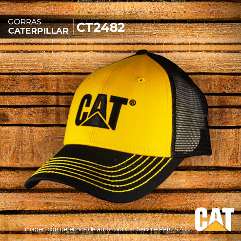 CT2482 Cat Golden Cap