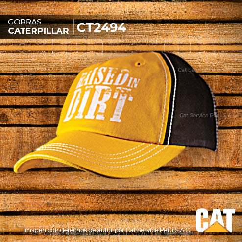 CT2494 Gorra Cat Raised Para Niños