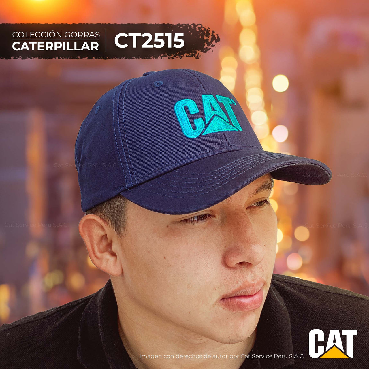 CT2515 Cat Wave Cap