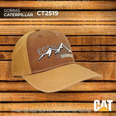 CT2519 Cat Climb Cap