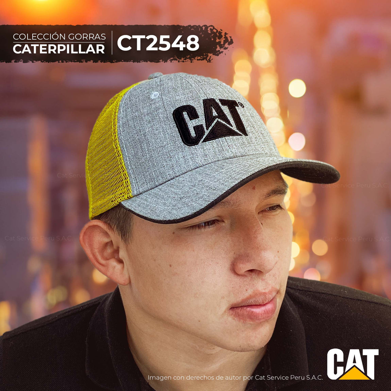 CT2548 Cat Granite Cap