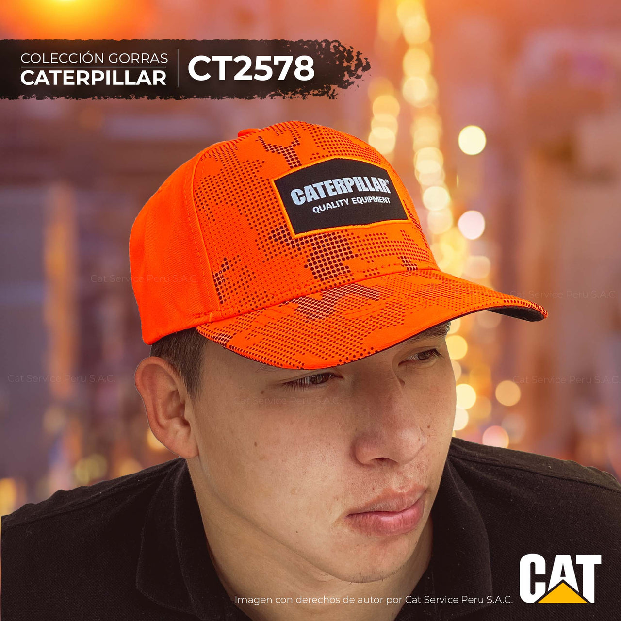 CT2578 Cat Up At Dawn Cap
