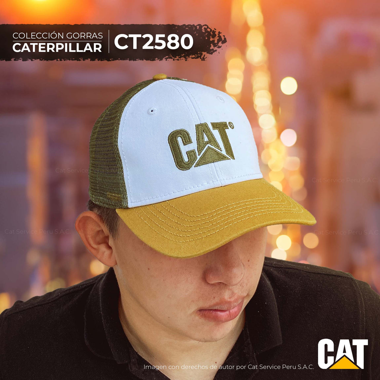 CT2580 Cat New Day Cap