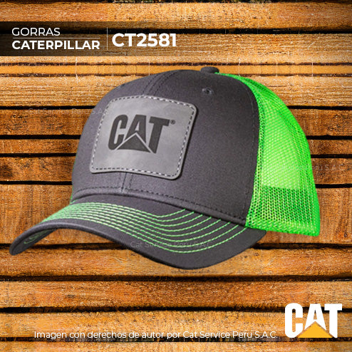 CT2581 Cat Bolt Cap