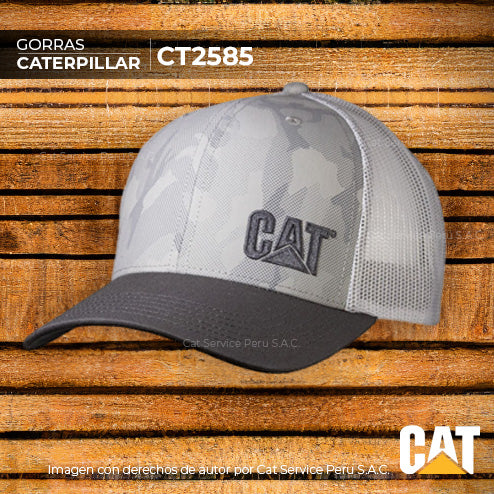 CT2585 Cat Fog Day Cap